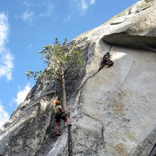 13355511_1070653029688368_791696547_n